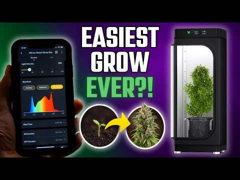 Seed to Harvest in a Fully Automated Smart Grow Box (VGrow Test)