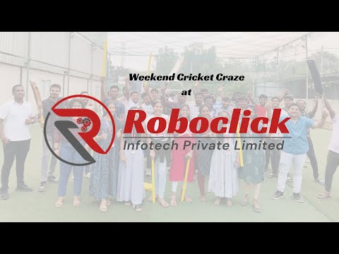 Weekend Fun with Roboclick Infotech Pvt Ltd | Box Cricket Day Highlights