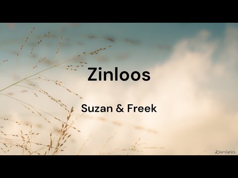 Zinloos - Suzan & Freek LYRICS/SONGTEKST