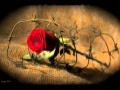 Первое слово дороже второго 
