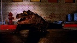 Alligator (1980) Video