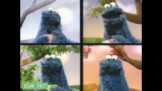 Sesame Street: Eating Cookies All Year With Cookie Monster