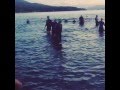 IMG 0265