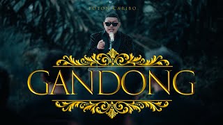 Download lagu TOTON CARIBO - GANDONG mp3