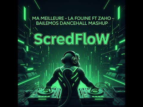 Ma Meilleure - La Fouine Ft Zaho - Bailemos Dancehall MashUp - ScredFloW