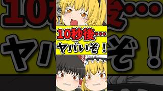 10秒後・・・助けを求める猫が泣く！穴に落ちそうになり…！？ #shorts #博麗霊夢 #ゆっくり茶番劇