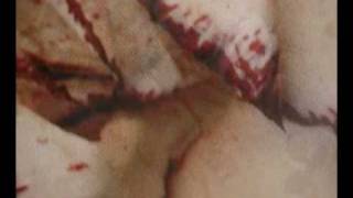 somebody's in love / sun ra