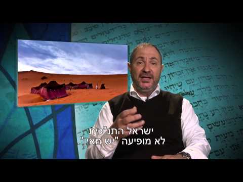 A la recherche de l'unite dans le judaisme