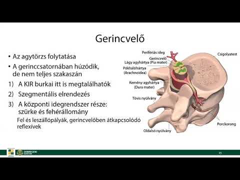 Paraziták megfertőzik a testet