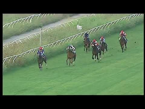 Napoli Galoppo 18/08/2021 - 1ª corsa