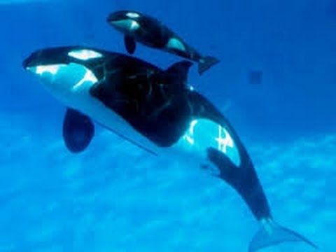 Best Zoo in the World!