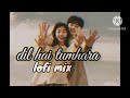 Dil Hai Tumhara Lofi Mix Slowed Reverb Old Vibes Udit Narayan Alka Yagnik Kumar Sanu