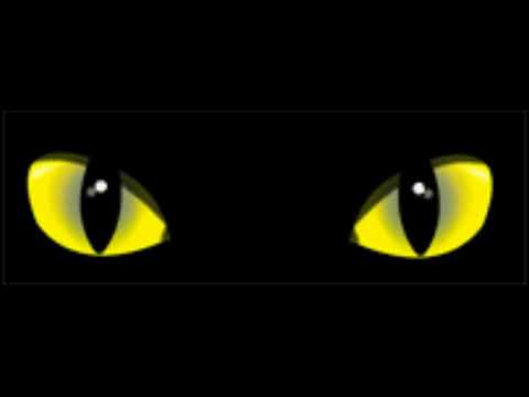 Футаж кошачьи глаза смотрят и моргают на черном фоне2