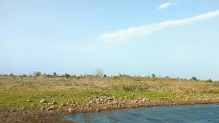 preview picture of video 'Wena reservoir , Nagpur'