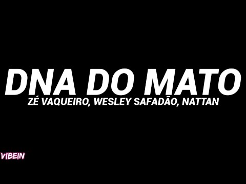 Zé Vaqueiro, Wesley Safadão, NATTAN - DNA do Mato (Letra)