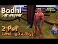 Bodhi Sunwayver Pet Battle World Quest Fight Night 2 Pet Leveling Strategy