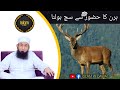 A Deer Tell Truth To The Holy Prophet MOLANA TARIQ JAMEEL