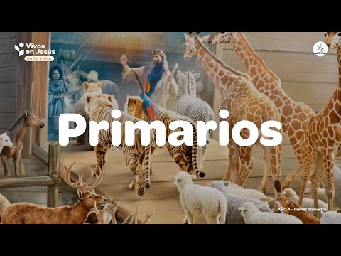 Primary School Model Class | Pre-term 1st term 2026