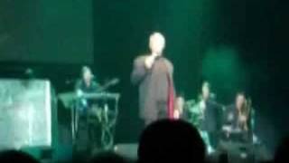 SOMEWHERE - DONOVAN SCOTT TEA/LETTERMEN