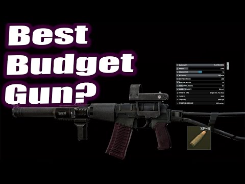 VSS Best Budget Gun? | EFT Gun Build