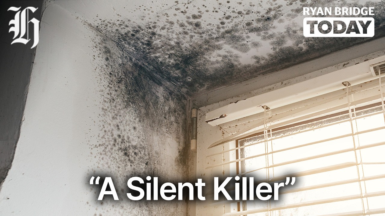 'Silent killer': Kids' health at risk from damp, mouldy homes | Ryan Bridge TODAY