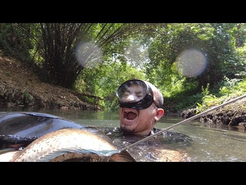 SE02EP53 - Ang PAG BABALIK ng mga DALAG sa LUNGGA ( Catch and Cook ) San Pablo City, Laguna