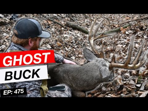 When a Mature Buck Vanishes | What to Do Next | Jace Allen