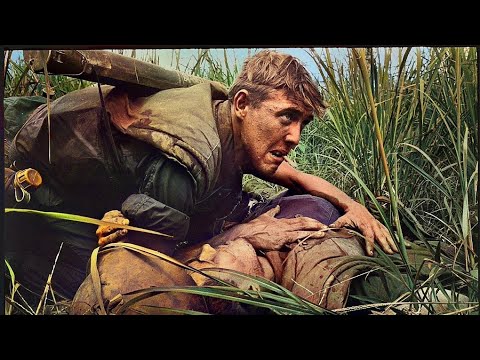 American Soldiers Entered The Rice Fields in Vietnam ... But They Did not Expect What Happened
