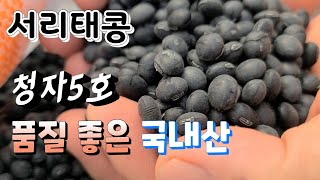 품질 좋은 국내산 서리태콩   청자5호  저렴한 가격에