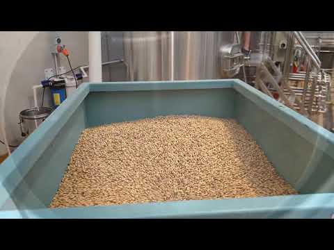A Typical Brew Day in a Micro Brewery