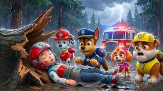 ¡RYDER, despierta! ¡No dejes solo a CHASE! No abandones a la Paw Patrol | PAw PatRol en Español MQDEFAULT Thumbnail