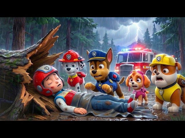 ¡RYDER, despierta! ¡No dejes solo a CHASE! No abandones a la Paw Patrol | PAw PatRol en Español SDDEFAULT Thumbnail