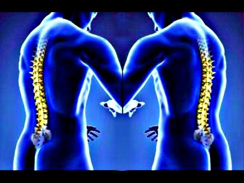 download lagu mp3 mp4 Spinal Cord Powerpoint Template, download lagu Spinal Cord Powerpoint Template gratis, unduh video klip Spinal Cord Powerpoint Template