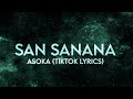 San Sanana - Asoka, Shah Rukh Khan, Kareena Kapoor (Full Lyrics) TikTok makeup trend