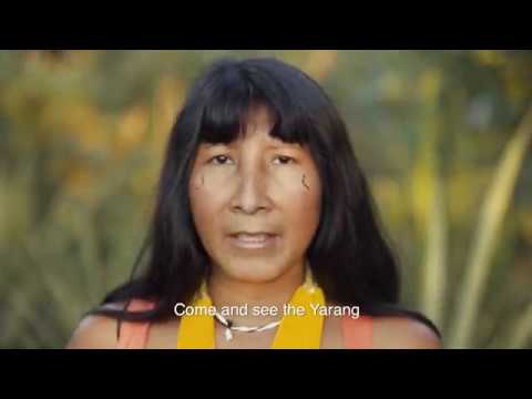 They will never walk alone