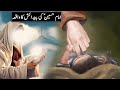 Hazrat Hussain Ka Waqia Hazrat Imam Hussain Ki Wiladat Ka Waqia Imam Hussain Raja Sarfaraz Tv