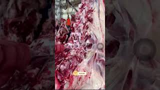 Download lagu ep 15k792 mp3 Download lagu ep 15k792 mp3