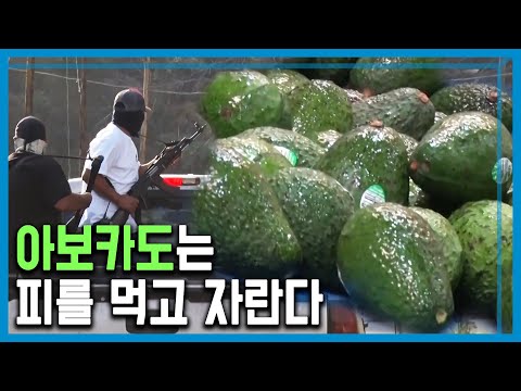 아이콘