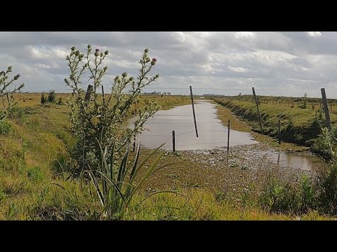 ARROYO Y TAJAMARES...A PURA PESCA POR RIO BRANCO..CERROLARGO 