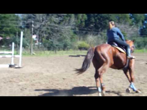 Mision con Melisa 20.08.2017