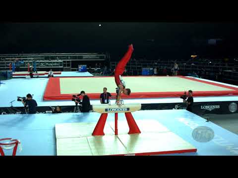 WINTHER Joachim (DEN) - 2017 Artistic Worlds, Montréal (CAN) - Qualifications Pommel Horse