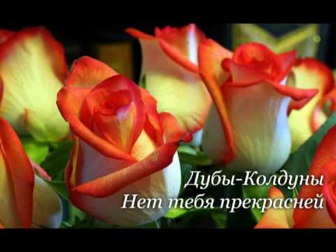 Дубы Колдуны - Нет тебя прекрасней