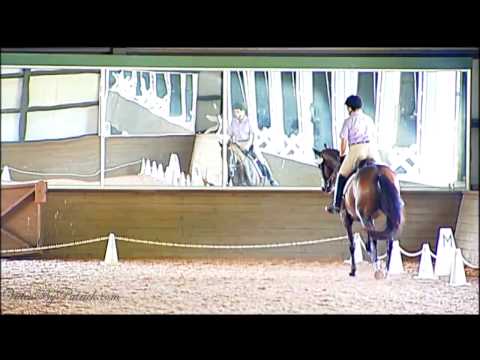 Lydia Wainwright on Acu-Goodkeeper, T-3 & T-4, PVDA at CDI/Chesapeake Dressage Institute, 8/8/2010