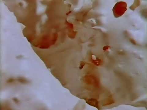 1976 Sarotti 7 Länder Spezialitäten – Deutsche Retro Werbung