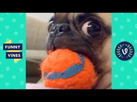 TRY NOT TO LAUGH CHALLENGE | The Best Funny Vines Videos of All Time Compilation #2 | April 2018