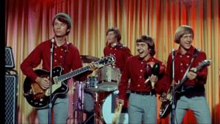 Little Girl Monkees