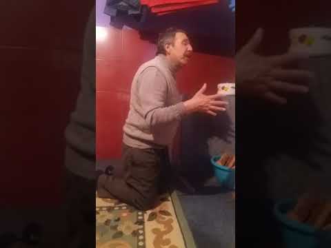 cel mai pocait din saulia