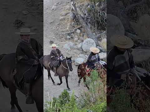 Rodeo de la Arena Alicahue y Paihuen comuna de Cabildo Valparaíso Chile Capítulo 9