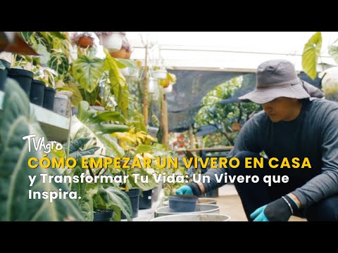 How to Start a Home Nursery and Transform Your Life - TvAgro by Juan Gonzalo Angel