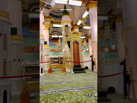 Riyaz Ul Jannah जन्नत का टुकड़ा Madina Shareef Saudi Arabia #madina #shorts #viralvideo #viralshorts